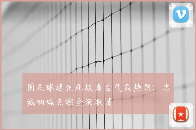 国足球迷生死战看台气氛热烈：忠诚呐喊点燃全场激情