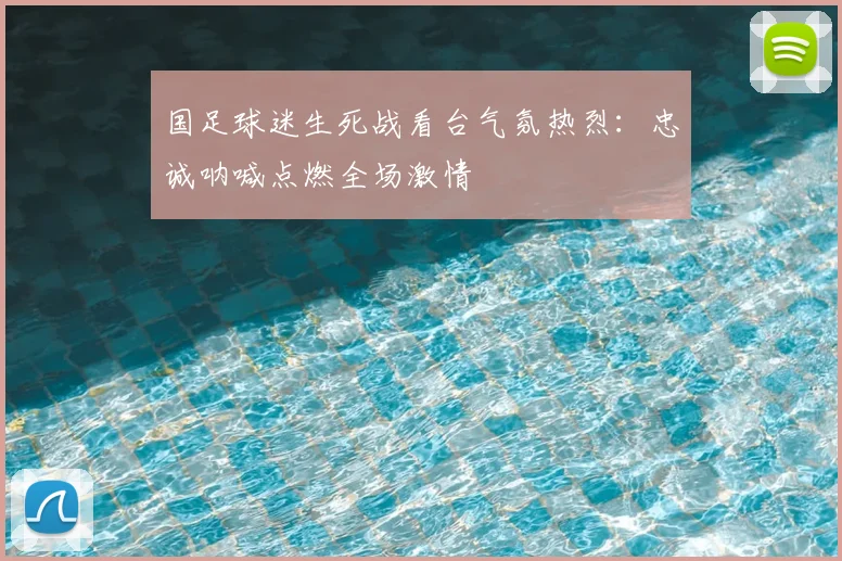 国足球迷生死战看台气氛热烈:忠诚呐喊点燃全场激情